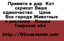 Примите в дар. Кот скрасит Ваше одиночество. › Цена ­ 0 - Все города Животные и растения » Кошки   . Тверская обл.